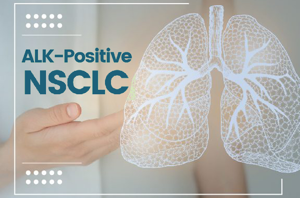 1701139402712781.png 20231027a.png