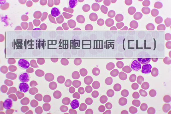 1701747789801859.png 20231204a.png