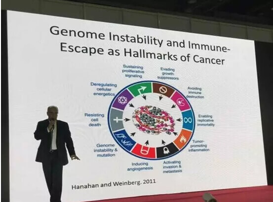 精準(zhǔn)腫瘤治療